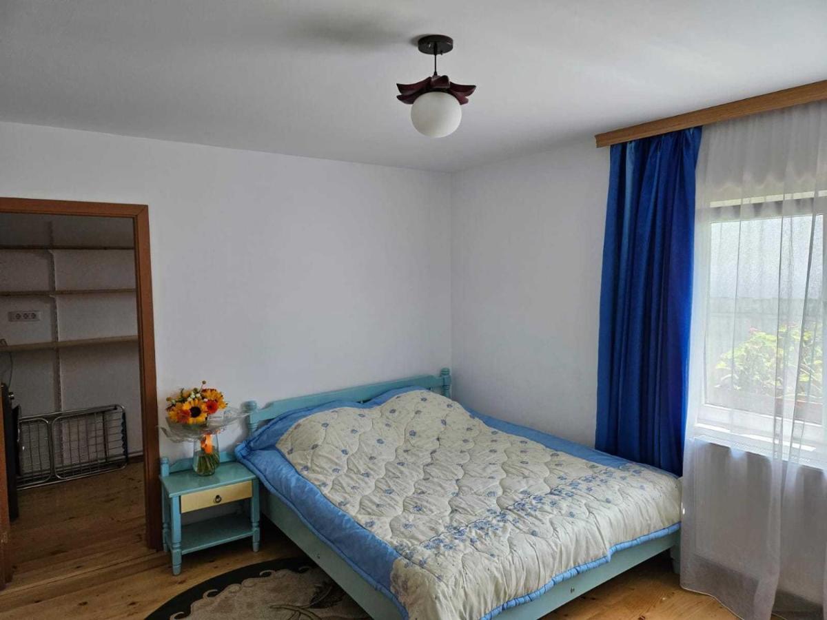 Muzicii 11 - Cozy Seaside Apartments ナボダリ エクステリア 写真